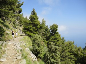 Photo: Two figures descend a rocky path in a forest on a hillside