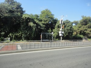 Against a backdrop of trees, a bus shelter on the other side of a four-lane road that is divided by a fence. No cars or people